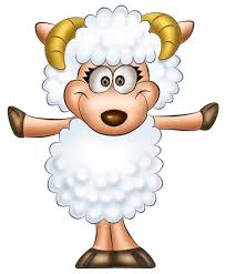 transparent cute sheep clipart sheep clipart cute sheep funny sheep