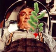 Man Has Pine Tree Growing In Lung Diary Of An Adi