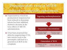 Using preparation h suppositories to relieve the painful burning and itching symptoms of internal. Agents Of Abuse Stimulants Ppt Video Online Download