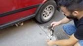 Kedi Araba Ile Bir Seyler Ezmek Turkce Rahatlatici Video Youtube