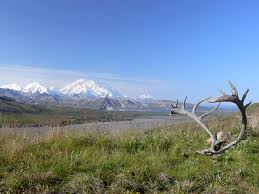 Depart from our private airstrip just outside of denali national park. Kanada Spezialist Sk Touristik Denali Shuttle Bus