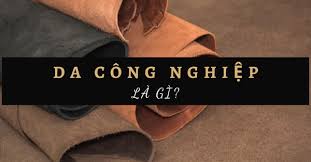 Da công nghiệp là gì? Những điều chưa biết về da công nghiệp - Glea.vn