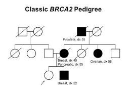 Most inherited cases of breast cancer are associated with mutations in two genes: 5 Things Women Under 40 Should Know About Breast Cancer Healthcare In Europe Com