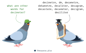Decimeter