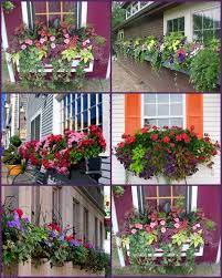 The window box will end the year bursting with color. Pin By Bonnie Scholl On Gardening Window Box Plants Window Box Flowers Balcony Plants
