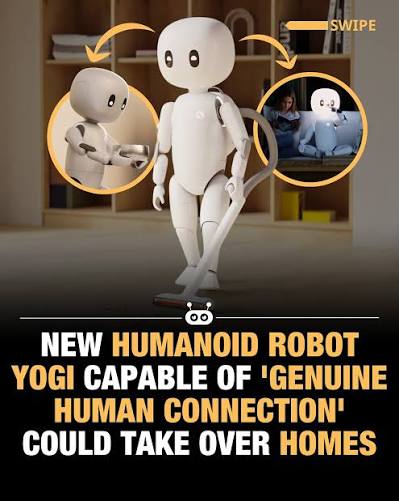 Yogi — image 5