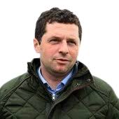 Irish Point to Point