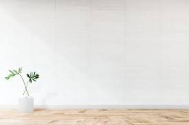 Download Premium Image Of Plant Against A White Wall Mockup 580499 Latar Belakang Dinding Gambar