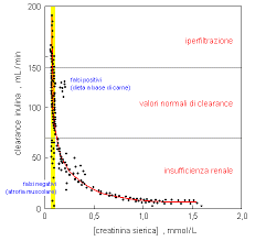 Cx is the renal plasma clearance of x. Clearence Renale