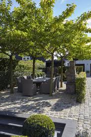 Grune Jahreszeit Schlanker Moderner Garten Hoch Exklusives Wohn Und Gartenge Garten Mobel Moderne Tuin Tuin Tuin Inspiratie