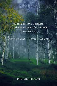 199 Wonderful And Inspiring Quotes On Woods And Forests Phmillennia Forest Quotes Forest Inspirational Quotes