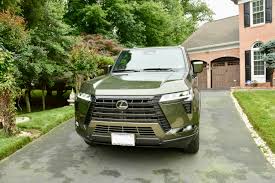 Image result for Nori Green 2025 LZ