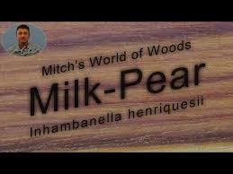 Image result for Inhambanella