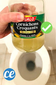 Seit Ich Das Gelesen Habe Habe Ich Immer Einen Gebrauchten Teebeutel Parat Um Ihn Zu Vergraben 10 Tricks Mit Benutzten Teebeuteln Teebeute Teebeutel Beutel Und Tricks