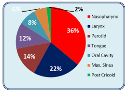 Oral Mucositis In Patients Undergoing F1000research