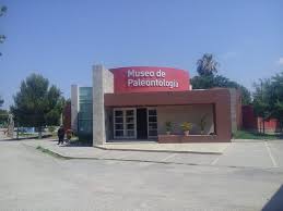 Museo De Paleontologia De Muzquiz Muzquiz 2021 Que Saber Antes De Ir Lo Mas Comentado Por La Gente Tripadvisor
