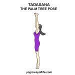Tadasana Palm Tree Pose Tree Pose Yoga Benefits Yoga Postures