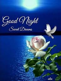 Pin On Good Night Quotes