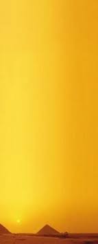 Pin On Hello Yellow