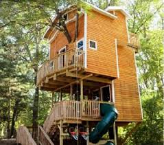 Menanam pohon mangga memberi banyak manfaat bagi tubuh maupun lingkungan sekitar. 10 Foto Desain Rumah Pohon Yang Cantik Dan Menarik