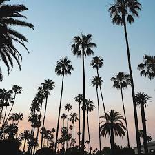 All The Leaves Are Brown And The Sky Is Grey I Ve Been For A Walk On A Winter S Day Pinterest Loschussler Palm Tree Sunset Nature Photography Cool Backgrounds