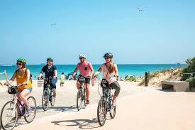 5 Best Schwinn Beach Cruiser Bikes In 2021 Bikingbro