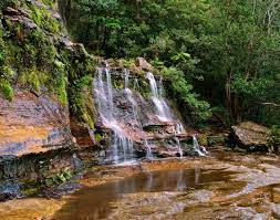 Zijn er parkeerplaatsen beschikbaar bij katoomba falls tourist park? The 10 Best Katoomba Falls Tours Tickets 2021 Sydney Viator