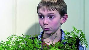 Jurassic Predator Box : Krause, Brian, McDaniels, Anne, Helmkamp, Steven,  Roberts, Eric, Bernsen, Corbin, Brasselle, Melissa, Bennett, Gabriel,  Patino, Amber, Pulis, Ashton, Atkins, Mark, Lester, Mark L., Wynorski, Jim:  Amazon.nl: Films &