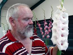 Whanganui's Wayne Hughes organises show and grows champion gladiolus