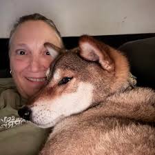 Little pieces of life for the Shikoku tribe Haru and his boar foot. Little  sick coyotes howling. Little walk around the house for the one month  pregnant girls.