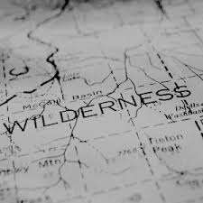 Black Bone Forest Treasure Rdr Pin By Chey Valentine On Aesthetic Firewatch The Adventure Zone Far Cry 5