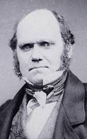 A DREAM DINNER PARTY