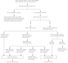 66 Thorough Anemia Flow Chart Mcv