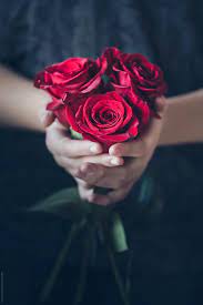 Red Roses Download This High Resolution Stock Photo By Helen Sotiriadis From Stocksy United Beautiful Rose Flowers Beautiful Red Roses Red Roses Wallpaper