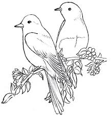Bird Sitting On Branch Drawing Easy Glass Painting Patterns Flower Design Two Blue Birds On A Branch Glass Painting Patterns Bird Paintings On Canvas Bird Drawings