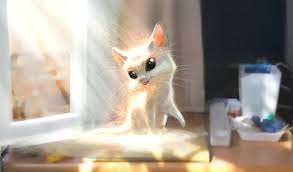 moj oranzhevyj zajchik pesni oranzhevyj kot