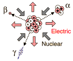 Radiometric dating, radioactive dating or radioisotope dating is a technique which is used to date materials such as rocks or carbon, in which trace radioactive impurities were selectively incorporated when they were formed. Radioactivity Energy Education