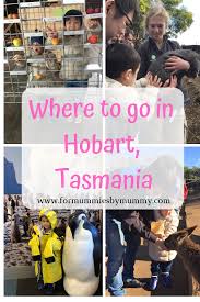 Where To Go In Hobart Tasmania Holidays In Australia With Images Travel With Kids Tasmania Australia Travel