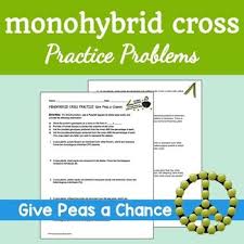 Freebie Monohybrid Cross Practice Problems Give Peas A Chance Give Peas A Chance Genetics Lesson Teaching Biology