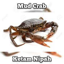 Berita sebelumya4 cara menurunkan kolesterol yang terbukti ampuh. Jenis Jenis Ketam Di Dunia