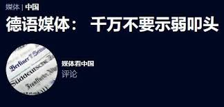 扬之：德媒对默茨访华的这番提醒，恰恰自证了一个问题_中华网
