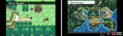 How many floors is black . White Forest New Adventures Part 1 Postgame Walkthrough Pokemon Black And White Gamer Guides