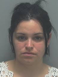 Lee County Arrests 11/29