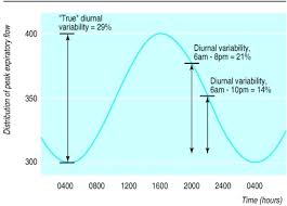 Some people with chronic bronchitis and emphysema also may benefit from the use of a peak flow meter. Diurnal Variability Time To Change Asthma Guidelines Abstract Europe Pmc