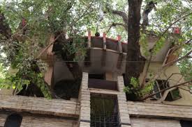 2 bhk independent house in arena homes. Not Willing To Cut 150 Year Old Tree Mp Family Rebuilds House And Now Lives Around It