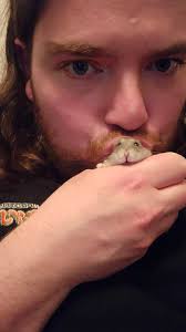 He loves the hamster😂❤️