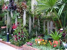 Hanging Bromeliads And Orchids Tropical Garden Design Tropical Garden Balinese Garden