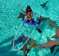 clear stand up paddle board transparent SUP clear paddle board