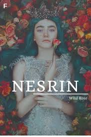 Nesrin Female Character Names Pretty Names Fantasy Names