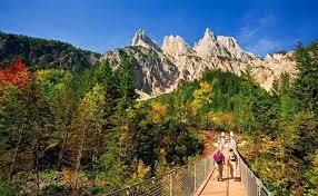 Nationalpark berchtesgaden is located in berchtesgaden. Der Nationalpark Berchtesgaden Natur Erleben